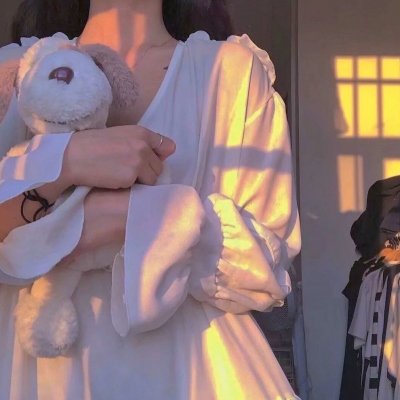 邦妮·帕克的故事