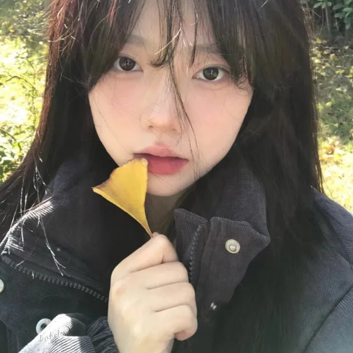 莉莉与凯特