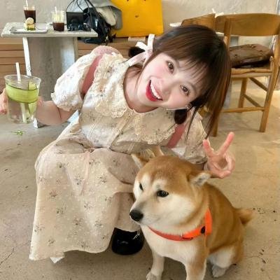 龙城谜案